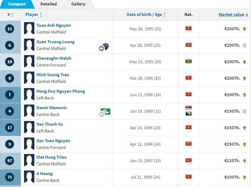 Zehn teuerste Fußballspieler von Hoang Anh Gia Lai: Tuan Anh und Xuan Truong führen die Rangliste an - ảnh 1