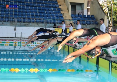 Nationale Schwimm- und Tauchmeisterschaft 2020 in Da Nang eröffnet - ảnh 1