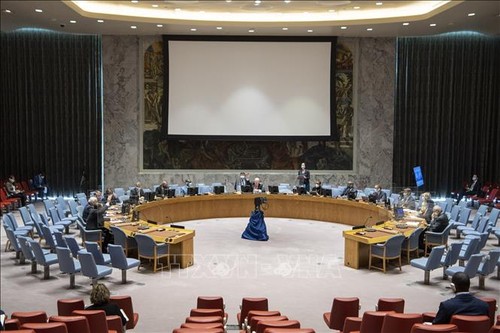 UN-Sicherheitsrat verabschiedet Resolution über Haiti  - ảnh 1