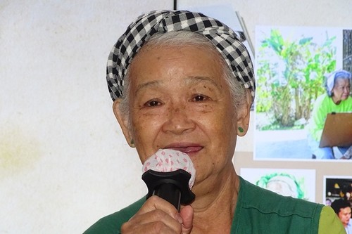 Präsentation der Website über Porträts von vietnamesischen Heldenmüttern  - ảnh 1