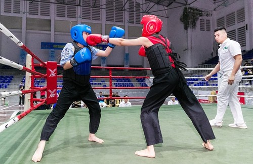 200 Kämpfer nehmen an traditioneller Kampfkunst in Provinz Nghe An teil - ảnh 1