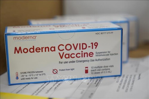 Covid-19-Pandemie: EU lässt Corona-Impfstoff von Moderna zu - ảnh 1