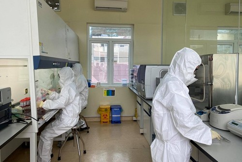 Neue Mutation von SARS-CoV-2 aus Großbritannien in Patienten in Hai Duong und Quang Ninh entdeckt - ảnh 1