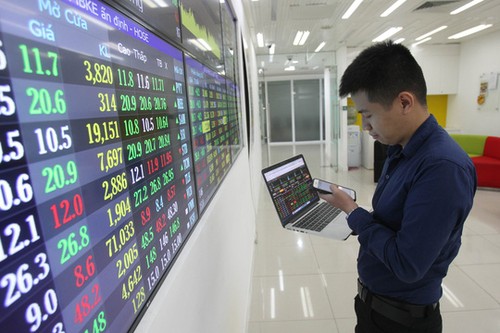 Viele vietnamesische Börsenfirmen planen starkes Wachstum  - ảnh 1