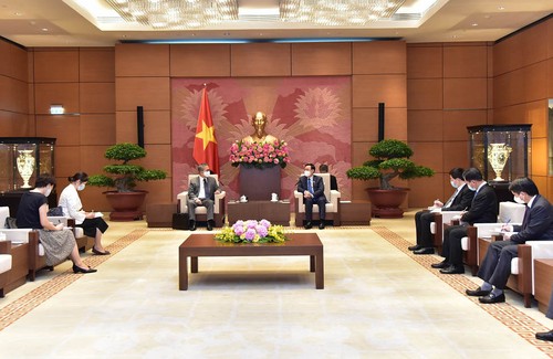 Parlamentspräsident Vuong Dinh Hue empfängt den japanischen Botschafter in Vietnam - ảnh 1