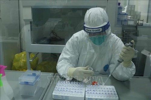 24. Mai: 187 neue Covid-19-Infektionsfälle in Vietnam - ảnh 1