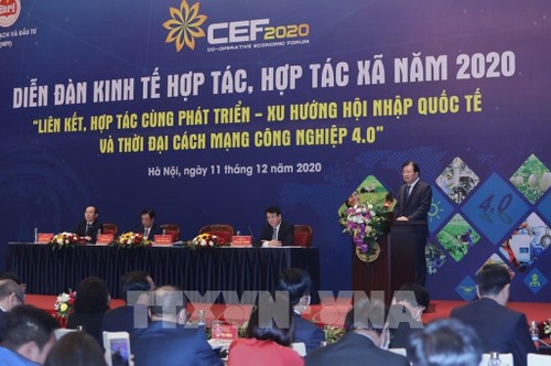 Das Forum für kooperative Wirtschaft und Genossenschaft wird im dritten Quartal 2021 stattfinden - ảnh 1