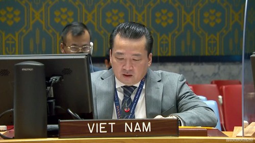 Vietnam begrüßt Fortschritte in Somalia - ảnh 1