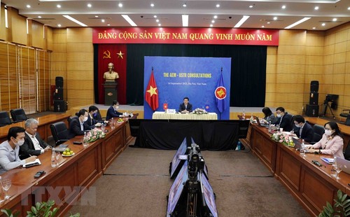 Viele Inhalte auf Konsultationskonferenz auf Wirtschaftsministerebene zwischen ASEAN und Partnerländern vereinbart - ảnh 1