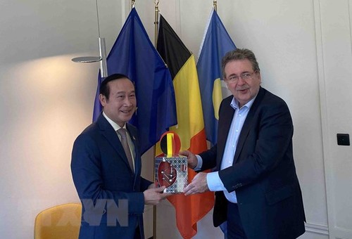 Verstärkung der Zusammenarbeit zwischen vietnamesischen Provinzen und der Brüsseler Region  - ảnh 1