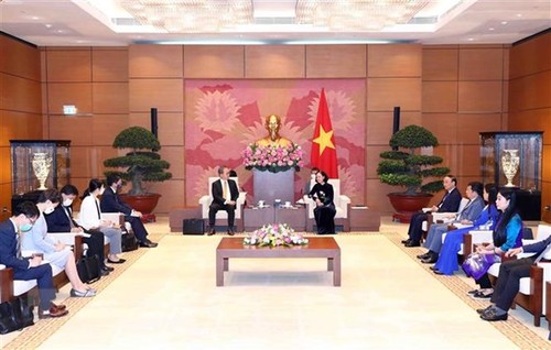 Strategische Partnerschaft zwischen Vietnam und Japan durch parlamentarischen Kanal verstärken  - ảnh 1