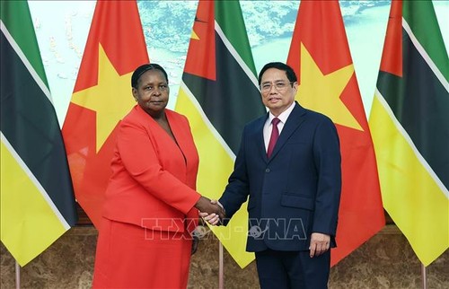 Premierminister Pham Minh Chinh trifft die mosambikanische Parlamentspräsidentin - ảnh 1