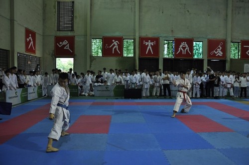Das erste erweiterte Karate-Turnier in der Provinz Hung Yen 2022 - ảnh 1