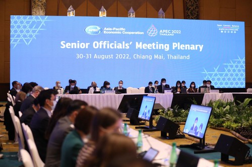 APEC-Konferenz diskutiert über nachhaltige wirtschaftliche Wiederbelebung  - ảnh 1