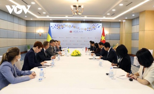 Vietnam engagiert sich für Dialoge und Maßnahme zur Stabilisierung der Lage der Ukraine - ảnh 1