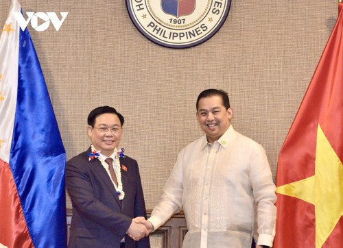 Parlamentspräsident Vuong Dinh Hue führt Gespräch mit Vorsitzenden des Repräsentantenhauses der Philippinen - ảnh 1