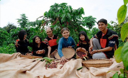 Zahlreiche Aktivitäten beim Kaffeefest Buon Ma Thuot 2023 - ảnh 1