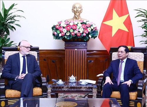 Strategische Zusammenarbeit zwischen Vietnam und Frankreich vorantreiben - ảnh 1
