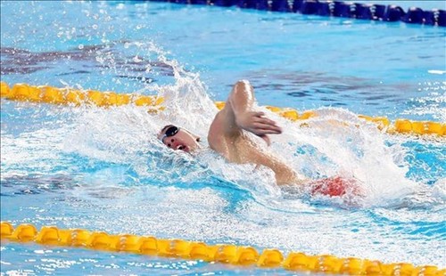 30 Mitglieder der vietnamesischen Schwimmmannschaft für SEA Games 32  einberufen - ảnh 1