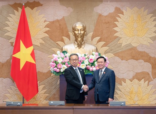Strategische Verbindung zwischen Vietnam und Japan zur wirtschaftlichen Entwicklung - ảnh 1