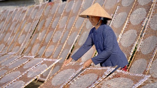 Herstellung von Reisblättern in Thuan Hung als nationales immaterielles Kulturerbe anerkannt - ảnh 1