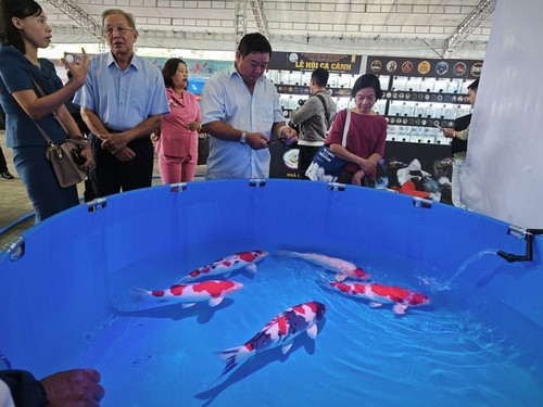 Fest der Aquarienfische in Ho Chi Minh Stadt 2023 - ảnh 1