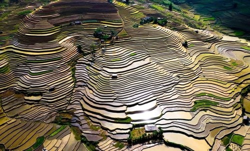 Schönheit der Reisterrassen in der Zeit der Wasserfelder - ảnh 1