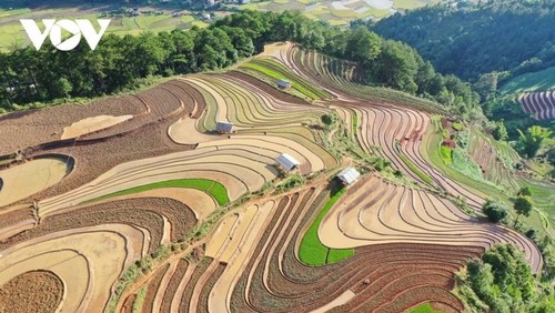 Schönheit der Reisterrassen in der Zeit der Wasserfelder - ảnh 3