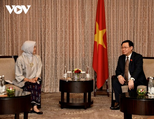 Parlamentspräsident Vuong Dinh Hue trifft die Präsidentin des indonesischen Rechnungshofes - ảnh 1