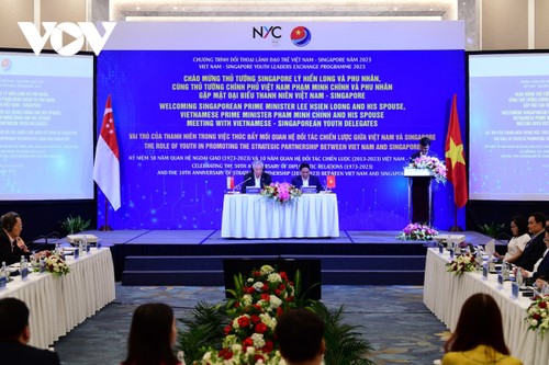 Premierminister Vietnams und Singapurs führen Dialog mit jungen Leitern beider Länder - ảnh 1