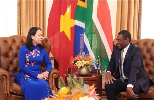 Vizestaatspräsidentin Vo Thi Anh Xuan führt Gespräch mit Vizepräsidenten Südafrikas - ảnh 1