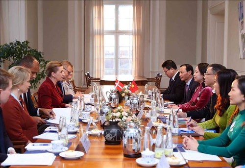 Vizestaatspräsidentin Vo Thi Anh Xuan führt Gespräch mit der dänischen Ministerpräsidentin Mette Frederiksen - ảnh 1