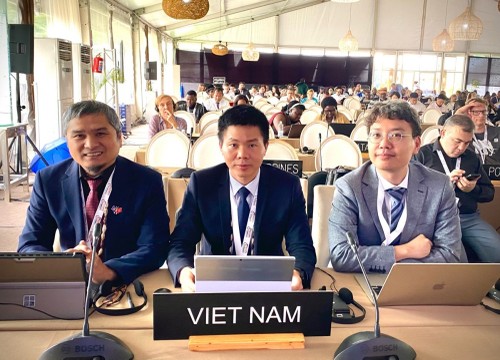 Vietnam zum Vizevorsitzen des Zwischenstaatlichen Ausschusses zum immateriellen Kulturerbe gewählt - ảnh 1