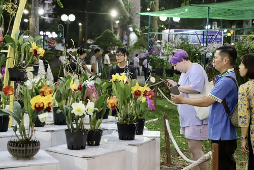 Frühlingsblumenfest in Ho Chi Minh Stadt zum Neujahrsfest eröffnet - ảnh 1