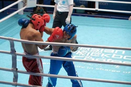 Vietnam wird asiatische Kickboxmeisterschaft 2024 veranstalten - ảnh 1