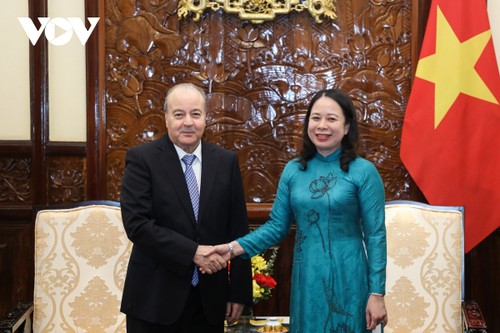 Die Interimsstaatspräsidentin empfängt Botschafter Japans und Algeriens  - ảnh 2