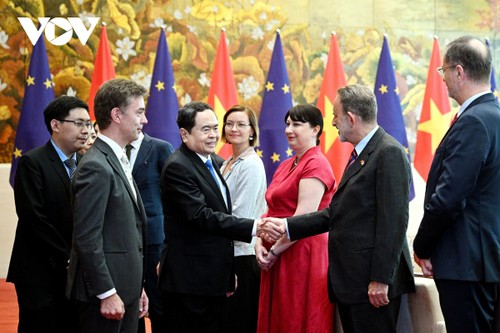 Parlamentspräsident Tran Thanh Man empfängt EU-Botschafter und -Geschäftsträger - ảnh 1