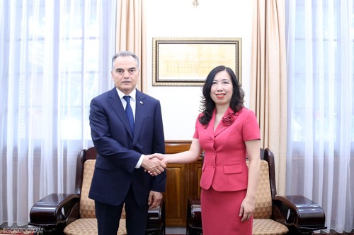 Vizeaußenministerin Le Thi Thu Hang empfängt Botschafter aus Turkmenistan und Island - ảnh 1