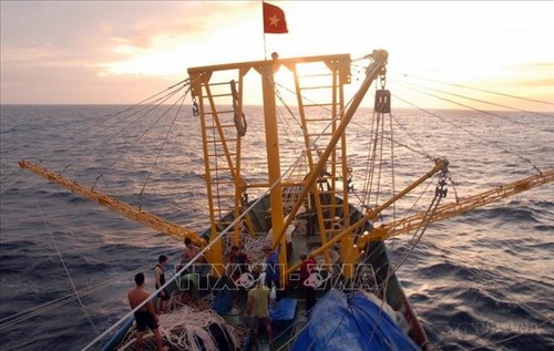 CCAMLR arbeitet mit Vietnam zur Erhaltung vom Schwarzen Seehecht in der Antarktis - ảnh 1