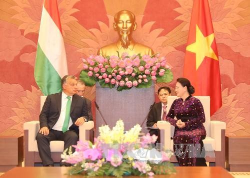 Vietnam, Hungary reaffirm each other as priority partner  - ảnh 4