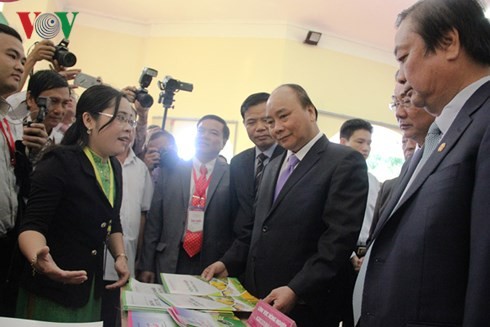 PM calls Dong Thap province shining star in business environment - ảnh 1