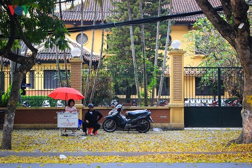 CNN commercials boost Hanoi’s foreign tourist arrivals - ảnh 1