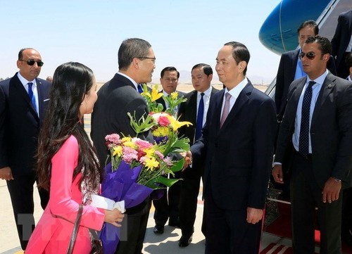 President Tran Dai Quang begins Egypt visit - ảnh 1