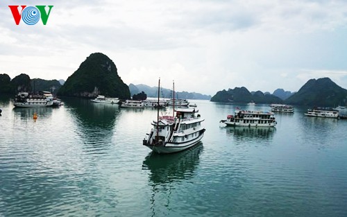 Hanoi-Ha Long Bay trip recommended as affordable luxury - ảnh 1