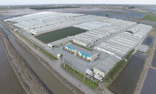 First domestic shrimp facility recognized as meeting OIE disease standards - ảnh 1