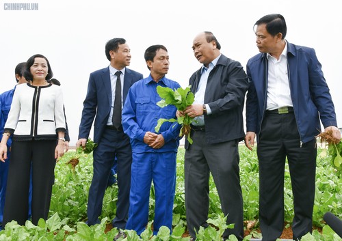 Top Government leaders encourage production, business in new lunar year - ảnh 1