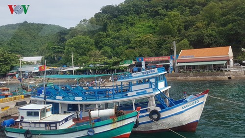 Vietnam sets up National Steering Committee on IUU Fishing Prevention  - ảnh 1