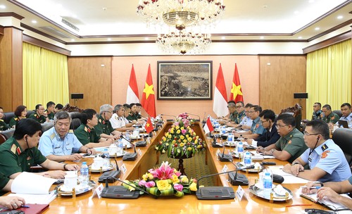 Vietnam, Indonesia hold first-ever defense policy dialogue  - ảnh 1