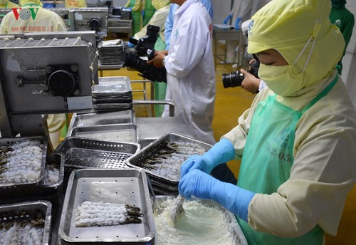 Vietnamese shrimp exporters enjoy zero taxes to US - ảnh 1