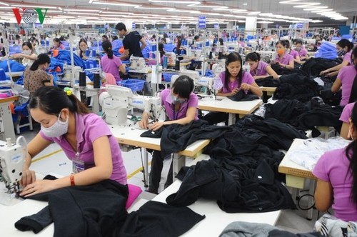 Apparel export target of 40 billion USD within reach - ảnh 1